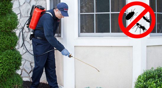 Kozlu Dezenfeksiyon böcek ilaçlama ve haşere kontrolü — ilaclama-tr.com